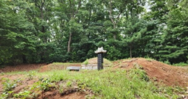 경기도 김포시 대곶면 쇄암리 OOOOO 임야 경매 물건 이미지