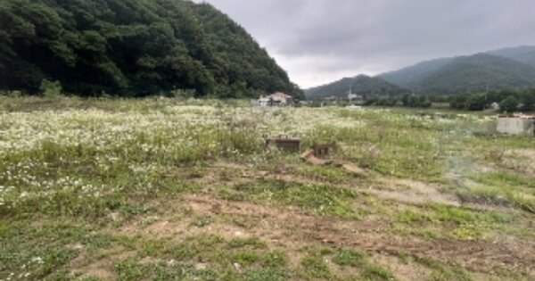 충청북도 청주시 상당구 낭성면 추정리 OOOOOO O OOO 전 경매 물건 이미지
