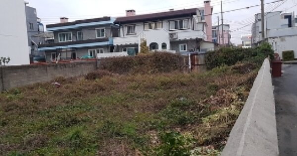 충청남도 보령시 동대동 OOOOO 답 경매 물건 이미지