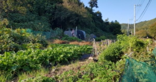 경기도 남양주시 별내면 용암리 OOO 전 경매 물건 이미지