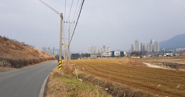 충청남도 보령시 남포면 봉덕리 OOOOO 답 경매 물건 이미지