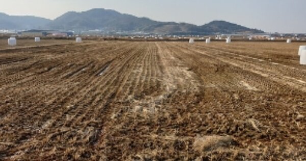 충청남도 홍성군 결성면 교항리 OOOOOO 답 경매 물건 이미지