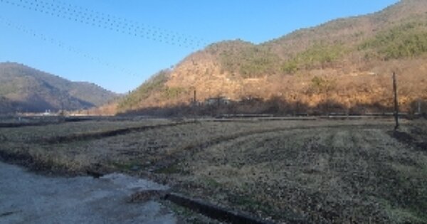 경상남도 의령군 화정면 상정리 OOOOO 답 경매 물건 이미지