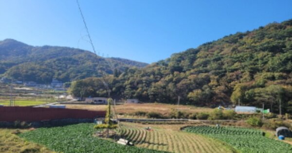 전라남도 여수시 호명동 OOOO O OOO 답 경매 물건 이미지