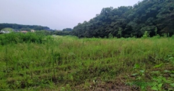 경기도 파주시 탄현면 법흥리 OOO 전 경매 물건 이미지