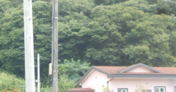 대전광역시 서구 산직동 OOO 임야 경매 물건 이미지