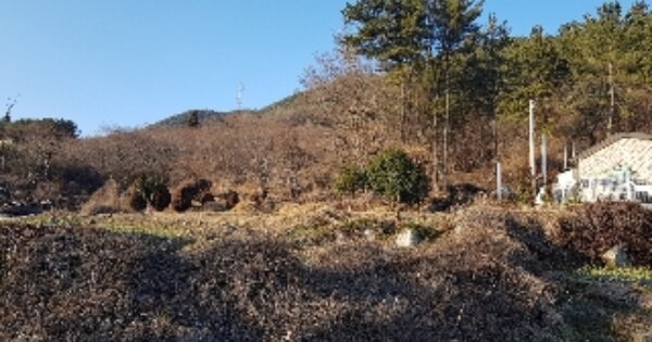 전라남도 광양시 봉강면 석사리 OOO 전 경매 물건 이미지