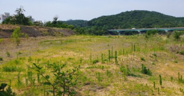 경기도 용인시 기흥구 신갈동 OOOOO O OOO 임야 경매 물건 이미지