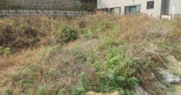 충청북도 청주시 청원구 내수읍 세교리 OOOOO O OOO 임야 경매 물건 이미지