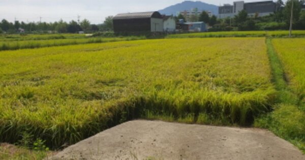 전라남도 장흥군 장흥읍 관덕리 OOOOO 답 경매 물건 이미지