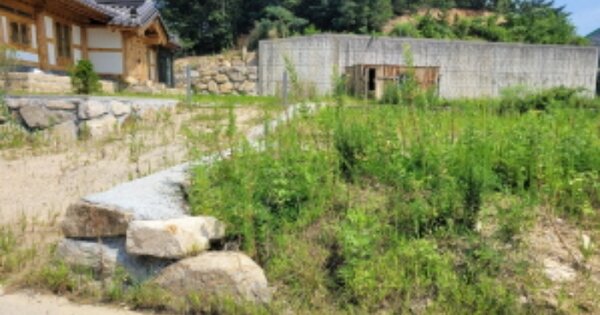 울산광역시 북구 무룡동 OOOOOO O OOO 대지 경매 물건 이미지