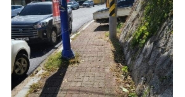 전라남도 장성군 남면 분향리 OOOOO 임야 경매 물건 이미지