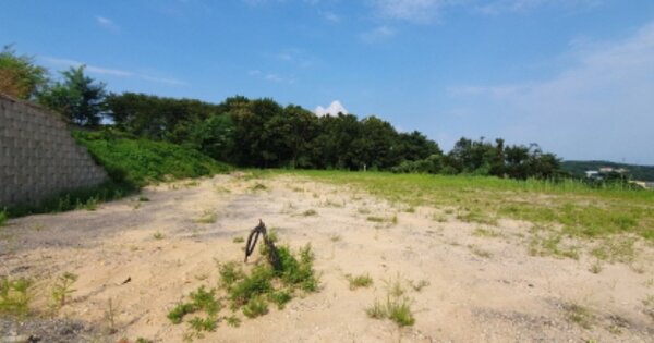 경기도 화성시 남양읍 활초리 OOOOOO O OOOO 임야 경매 물건 이미지
