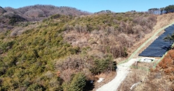 경상북도 김천시 부항면 안간리 OOO 임야 경매 물건 이미지