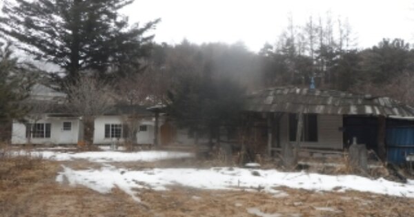 강원도 평창군 진부면 송정리 OOOOOO 대지 경매 물건 이미지