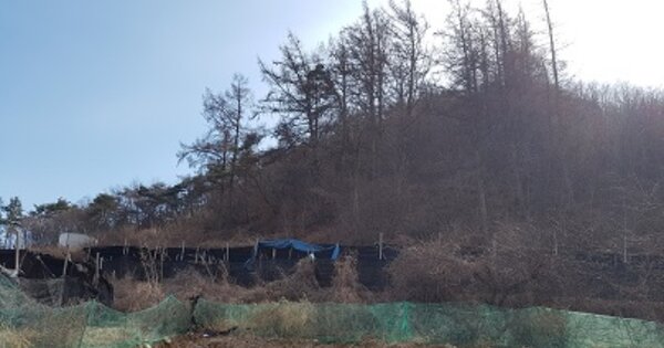 경상북도 청송군 청송읍 덕리 OOO 전 경매 물건 이미지