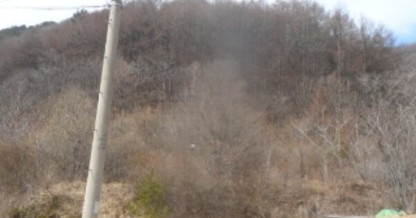 강원도 평창군 대관령면 용산리 OOO 전 경매 물건 이미지