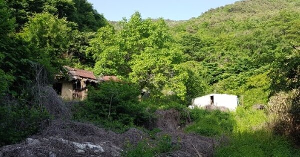 경상북도 청송군 안덕면 고와리 O 대지 경매 물건 이미지
