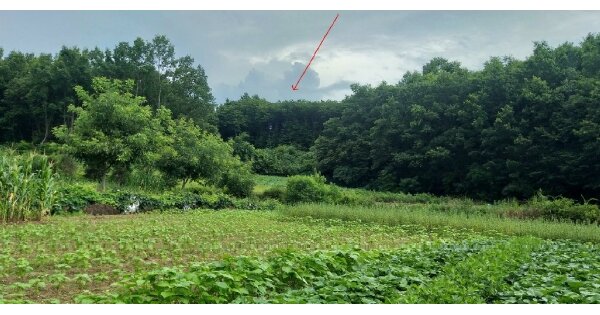 충청북도 옥천군 청산면 장위리 OOO 전 경매 물건 이미지