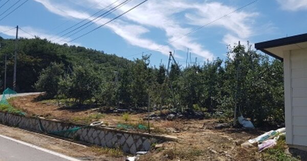 경상북도 청송군 청송읍 청운리 OOOOO 전 경매 물건 이미지