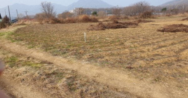 경기도 용인시 처인구 원삼면 맹리 OOOOO 임야 경매 물건 이미지