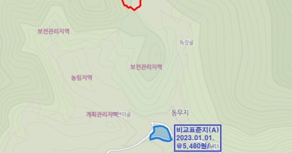 강원특별자치도 정선군 정선읍 귤암리 OOO 전 경매 물건 이미지