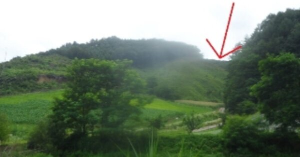 강원특별자치도 평창군 용평면 도사리 OOOOOO 임야 경매 물건 이미지