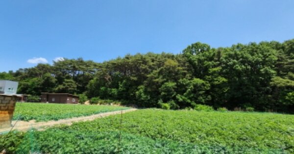 경상북도 구미시 선산읍 화조리 OOOOOO 임야 경매 물건 이미지