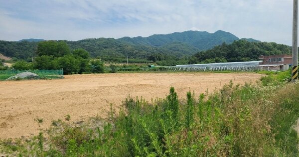 경상북도 김천시 농소면 연명리 OOO 답 경매 물건 이미지