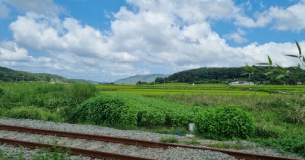 경상북도 경주시 배반동 OOOOO 답 경매 물건 이미지