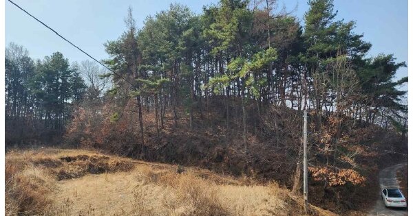 충청남도 서천군 마산면 관포리 OOO O OOO 임야 경매 물건 이미지