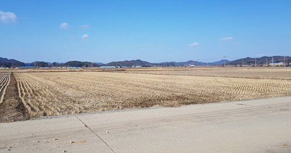 충청남도 서천군 한산면 신성리 OOOO O OOO 답 경매 물건 이미지