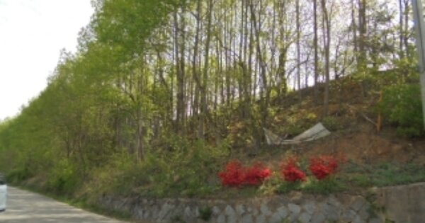 충청남도 부여군 은산면 가곡리 OOO 임야 경매 물건 이미지