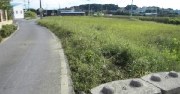 충청남도 논산시 은진면 토양리 OOOOO 전 경매 물건 이미지