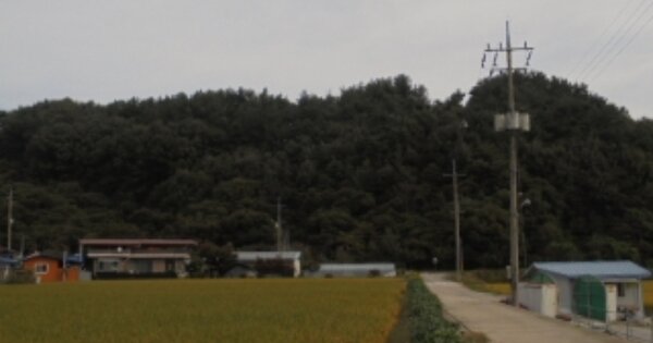 충청남도 부여군 홍산면 상천리 OOOOO 임야 경매 물건 이미지