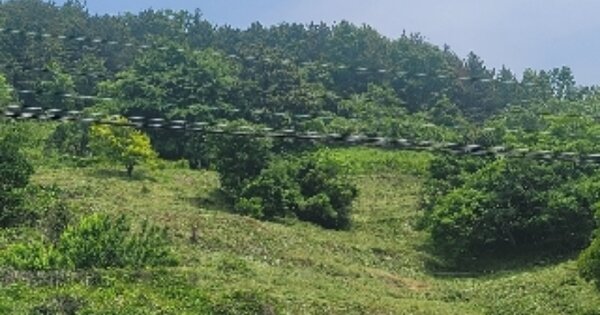 경상남도 통영시 도산면 수월리 OOOOO 전 경매 물건 이미지