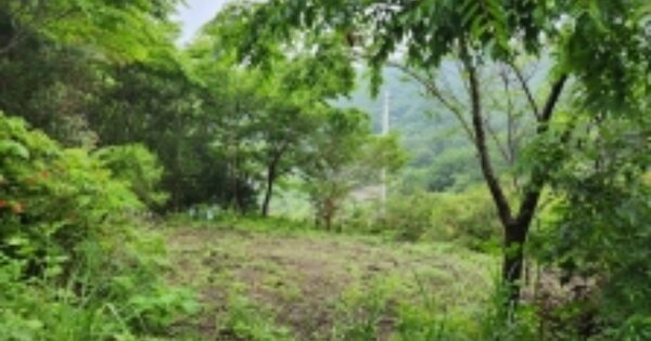 경상남도 고성군 하이면 월흥리 OO 전 경매 물건 이미지