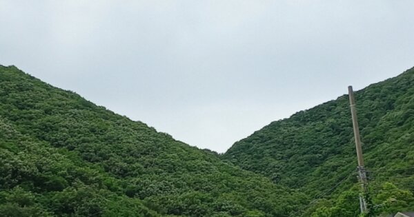 경상남도 거제시 문동동 OOO 임야 경매 물건 이미지