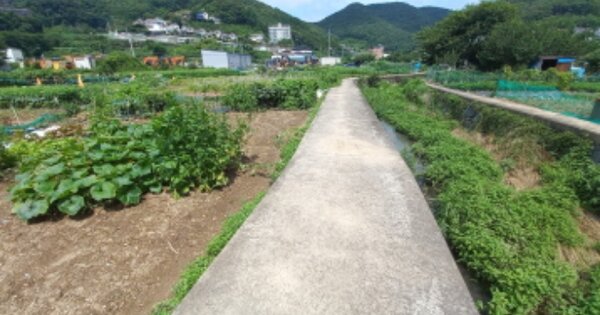 경상남도 거제시 연초면 오비리 OOOOO O OOO 답 경매 물건 이미지