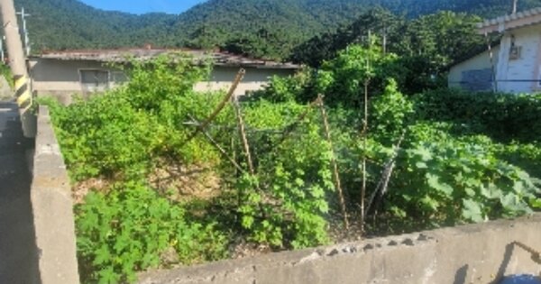 경상남도 통영시 사량면 금평리 OOOOO 대지 경매 물건 이미지