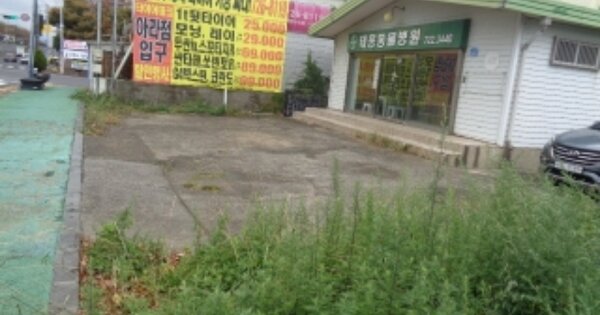 제주특별자치도 제주시 이도이동 OOOOO O OOO 근린시설 경매 물건 이미지