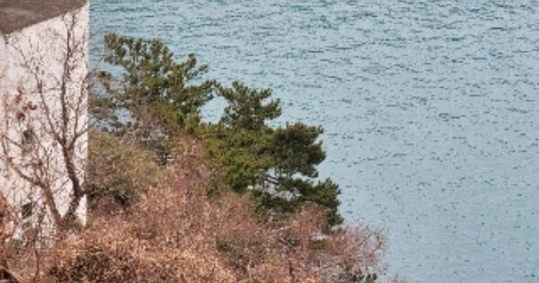 경상남도 통영시 산양읍 미남리 OOOOO 전 경매 물건 이미지