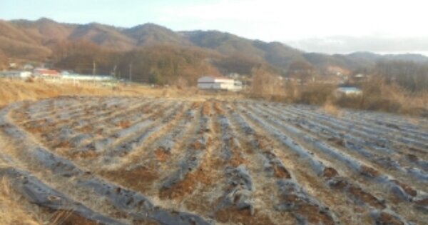 충청북도 충주시 주덕읍 신양리 OOO 전 경매 물건 이미지