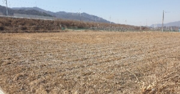 충청북도 충주시 앙성면 마련리 OO 전 경매 물건 이미지