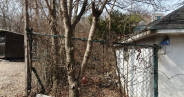 경기도 양평군 강하면 전수리 OOOOO 답 경매 물건 이미지