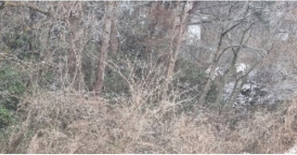 전라북도 순창군 유등면 무수리 OOO 임야 경매 물건 이미지