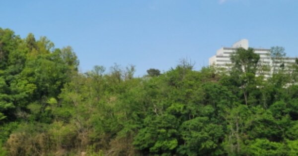 경상북도 포항시 남구 구룡포읍 병포리 OOOOO 임야 경매 물건 이미지