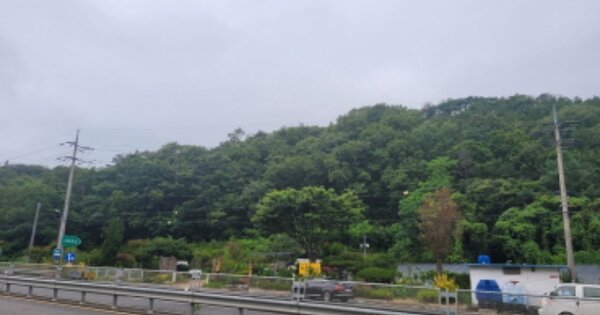 경상북도 포항시 남구 구룡포읍 병포리 OOOOO 임야 경매 물건 이미지