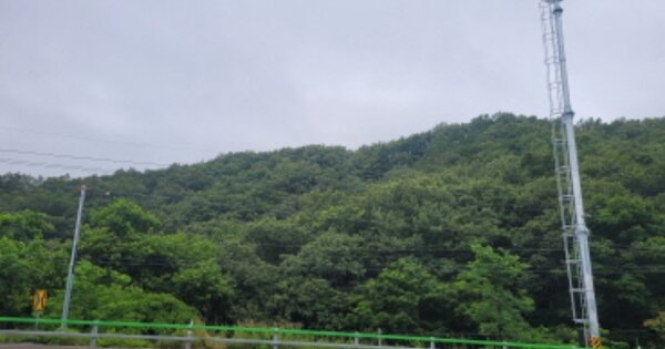 경상북도 포항시 남구 구룡포읍 병포리 OOOOOO 임야 경매 물건 이미지