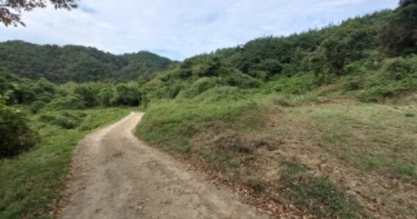 경상남도 진주시 이반성면 평촌리 OO 전 경매 물건 이미지